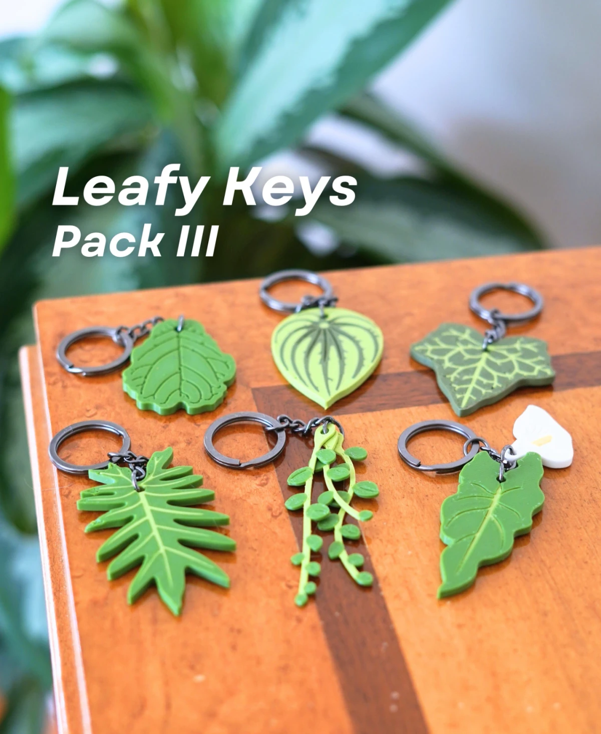 Leafy Keys Pack III