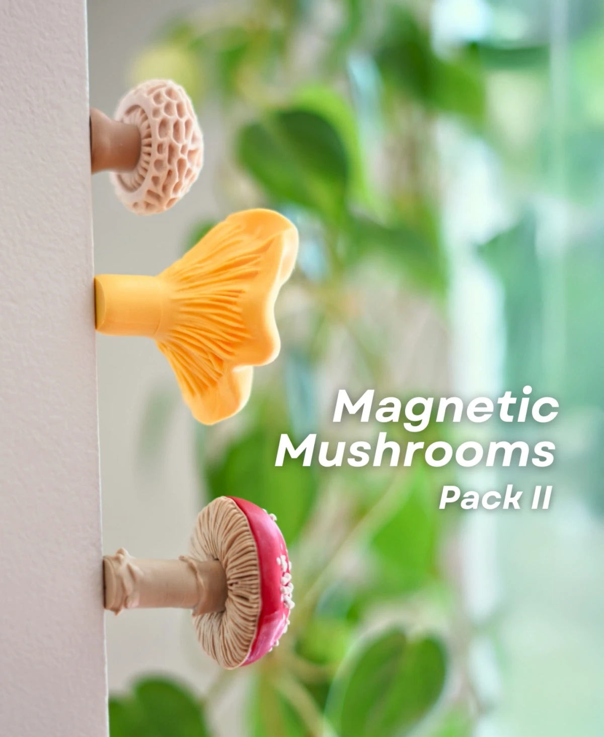 Magnetic Mushroom Pack II