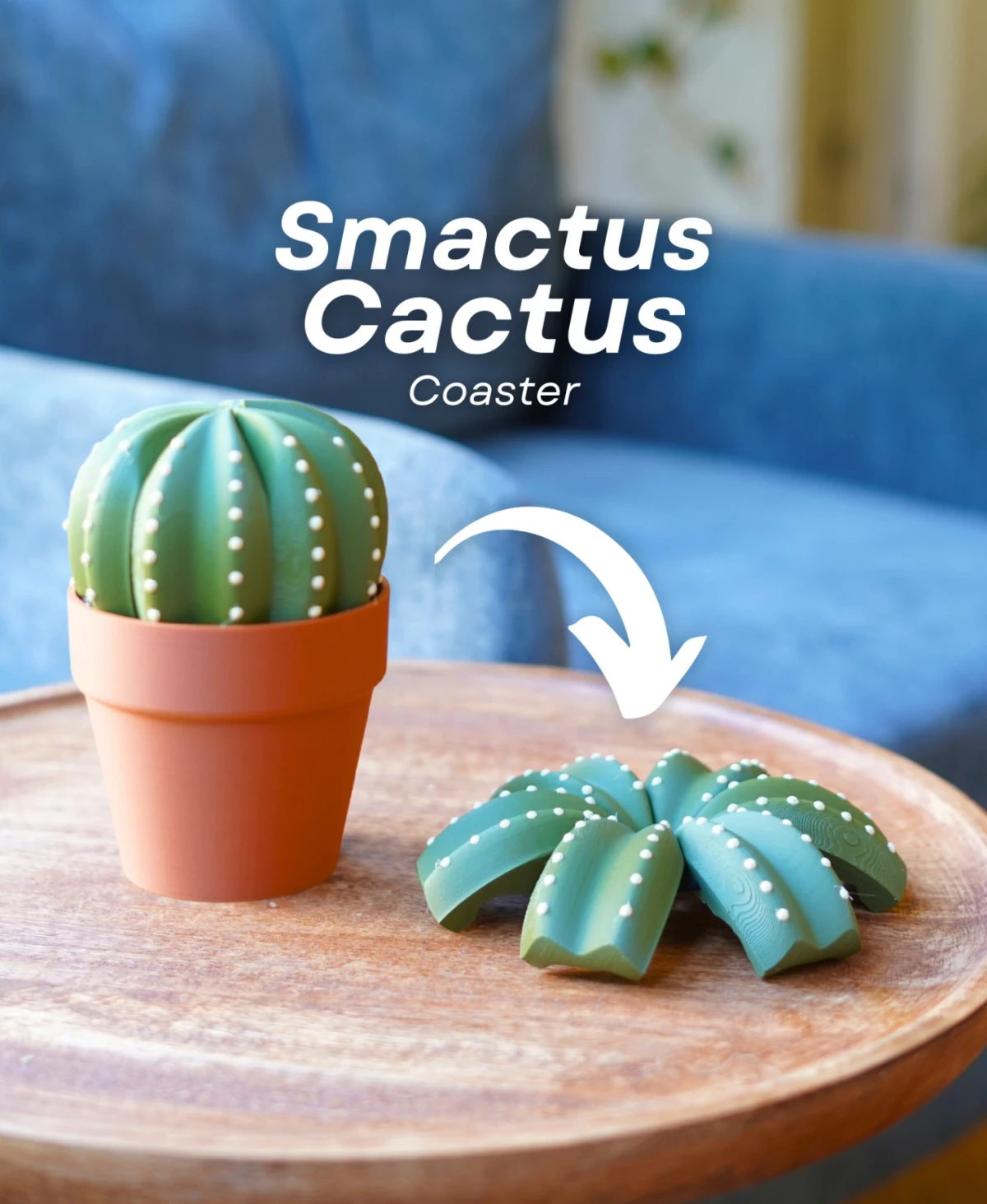 Smactus Cactus