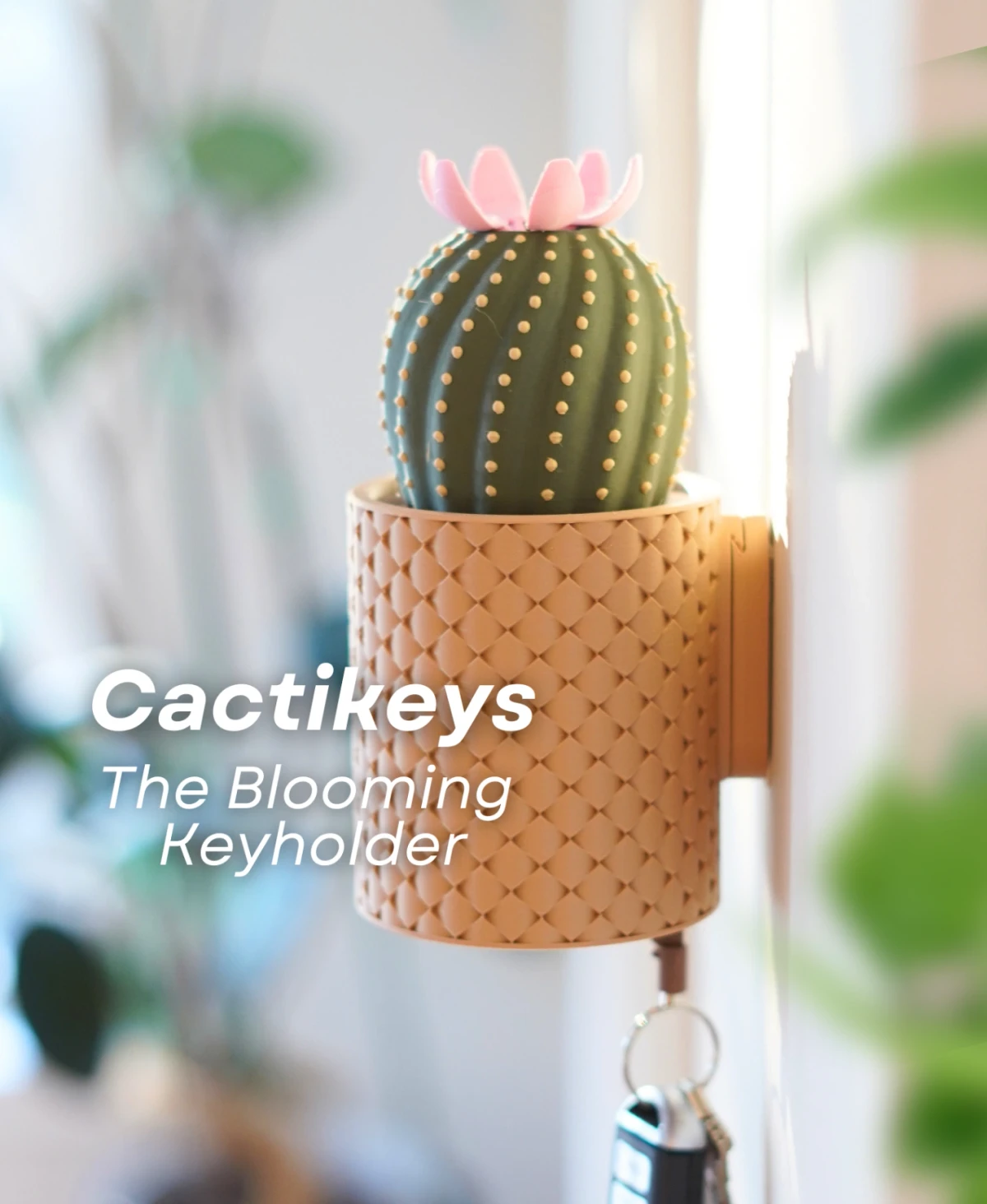 CactiKeys