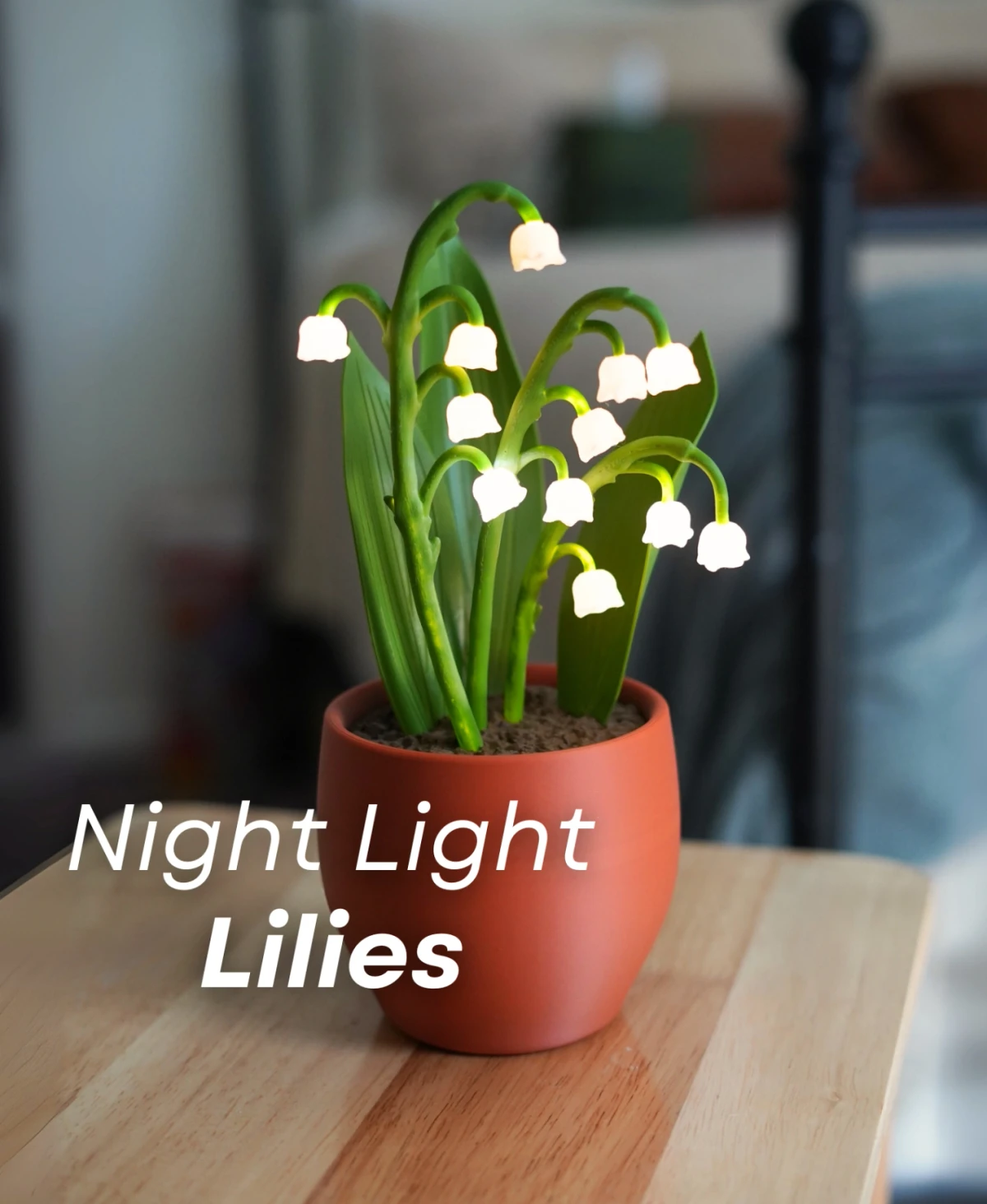 Night Light Lilies