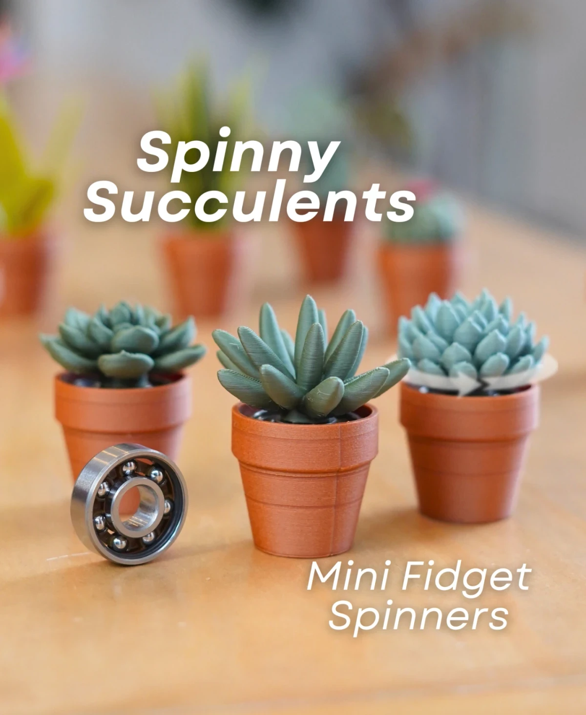 Spinny Succulents