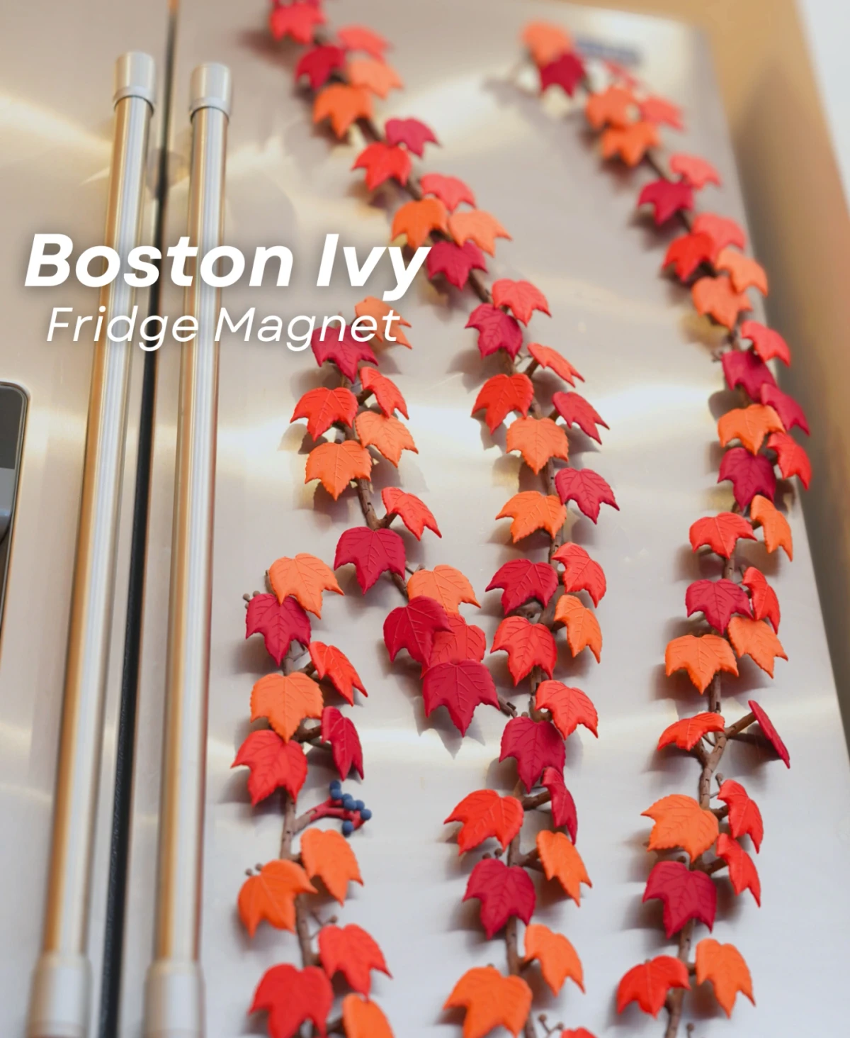 Boston Ivy Fridge Magnet