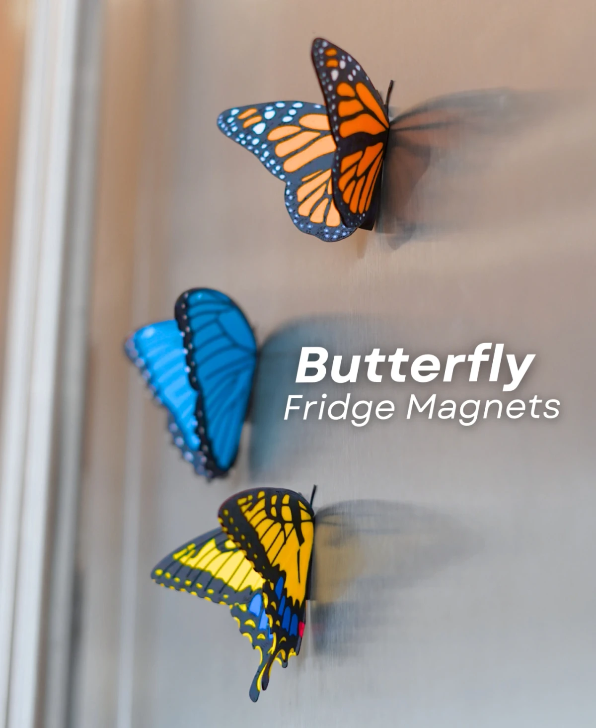 Butterfly Fridge Magnet