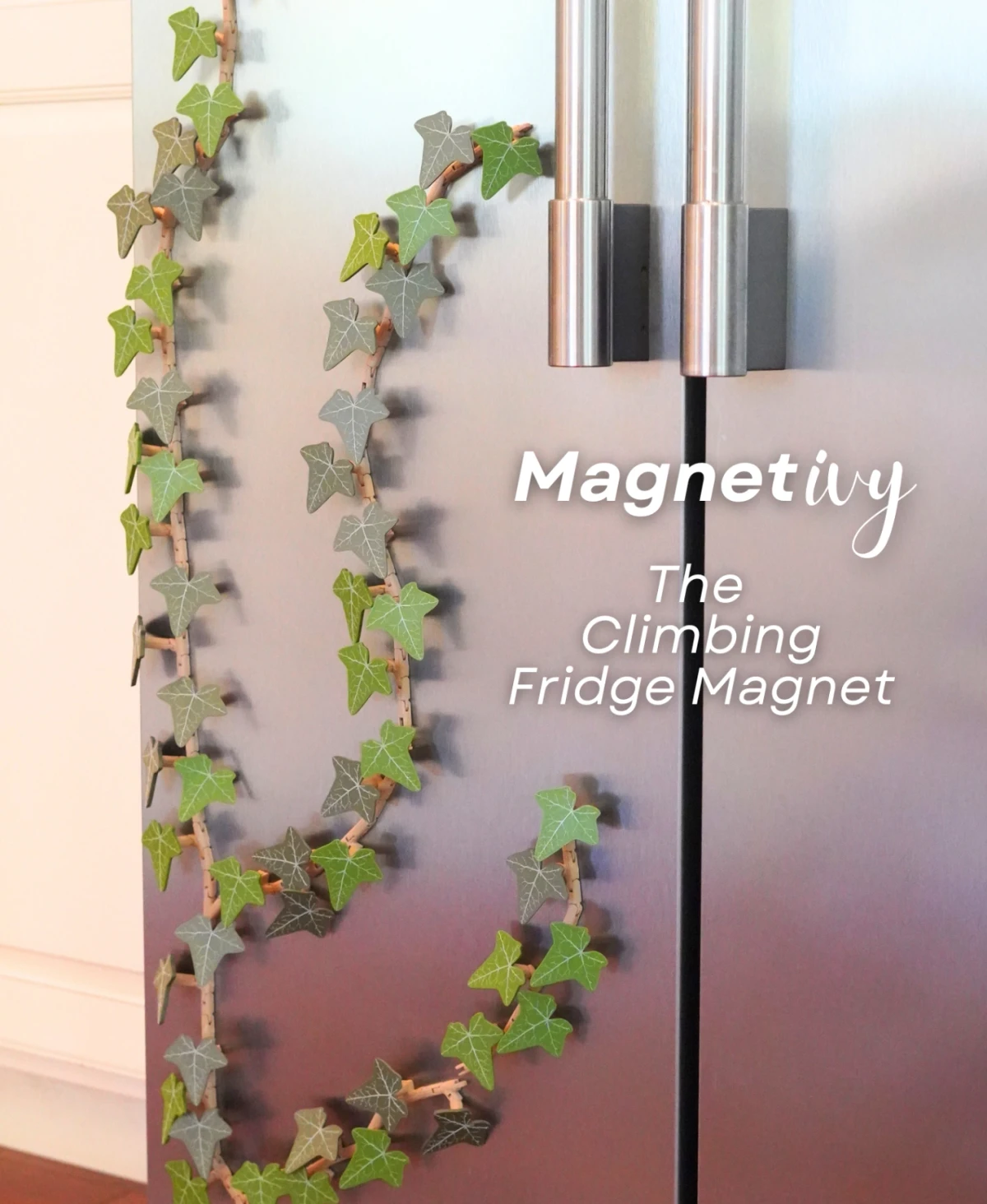 Magnetivy