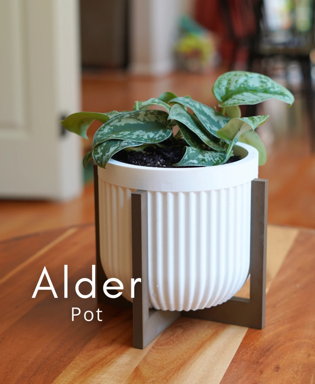 Alder Pot