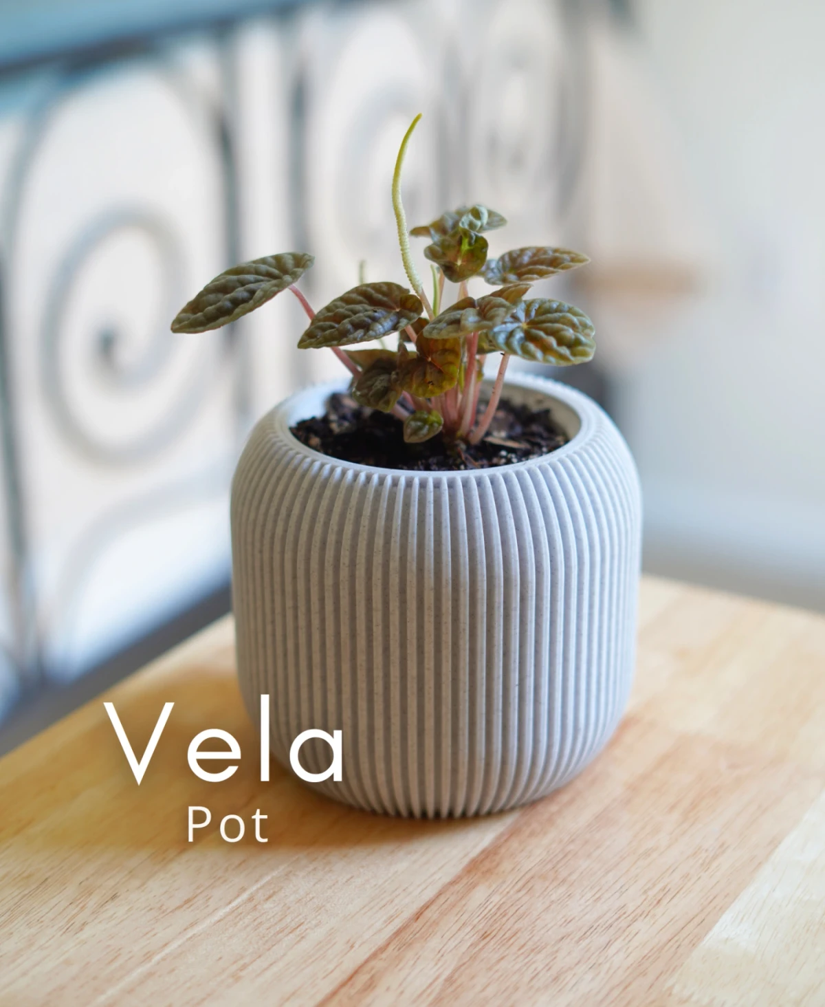 Vela Pot